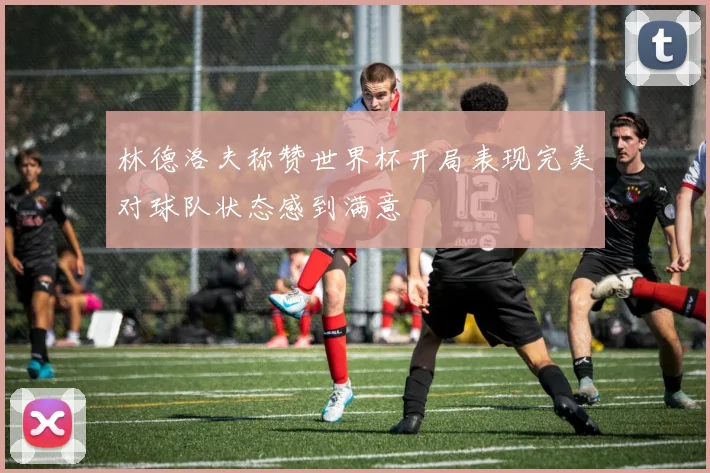 林德洛夫称赞世界杯开局表现完美对球队状态感到满意